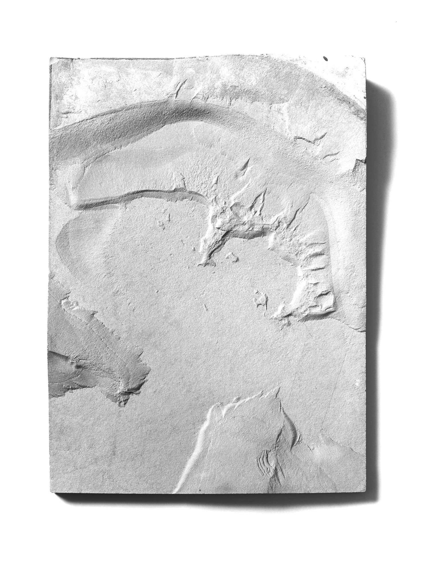 Xue Mu IN.NO.SENSE_Stone