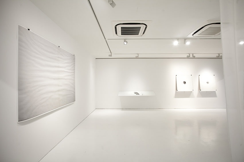 Xue Mu: Liquid Truth