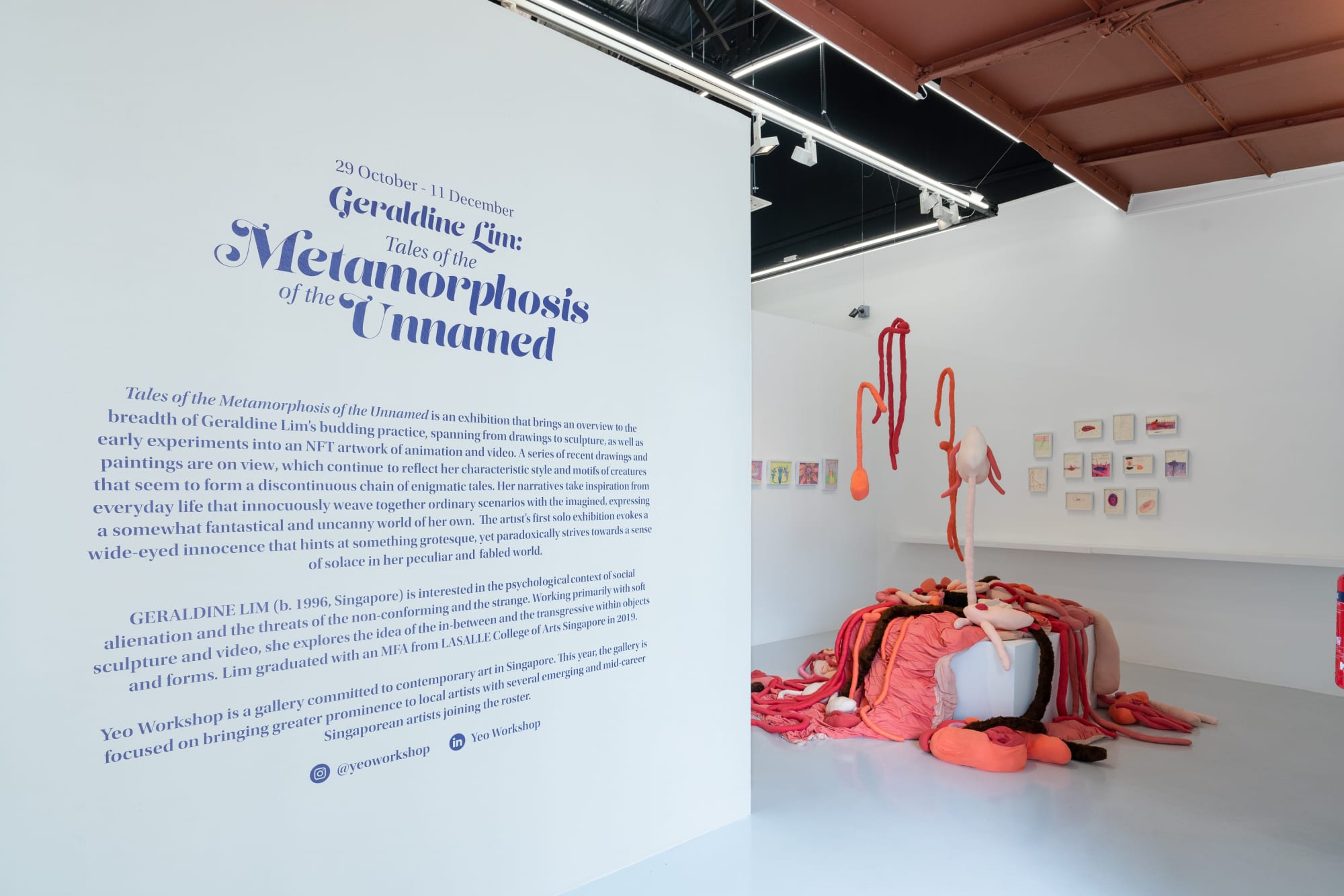 Geraldine Lim: Tales of the Metamorphosis of the Unnamed