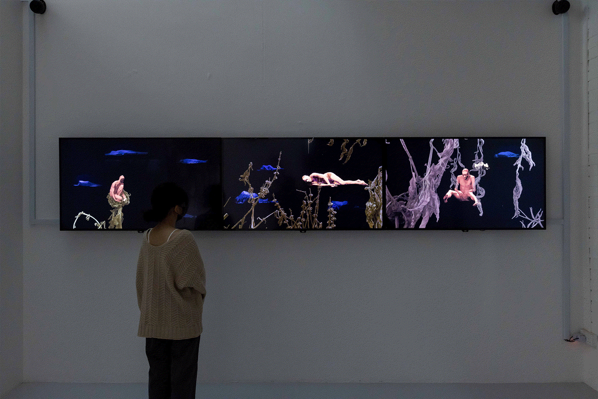 Ornamental ⠂瓖 (xiāng)