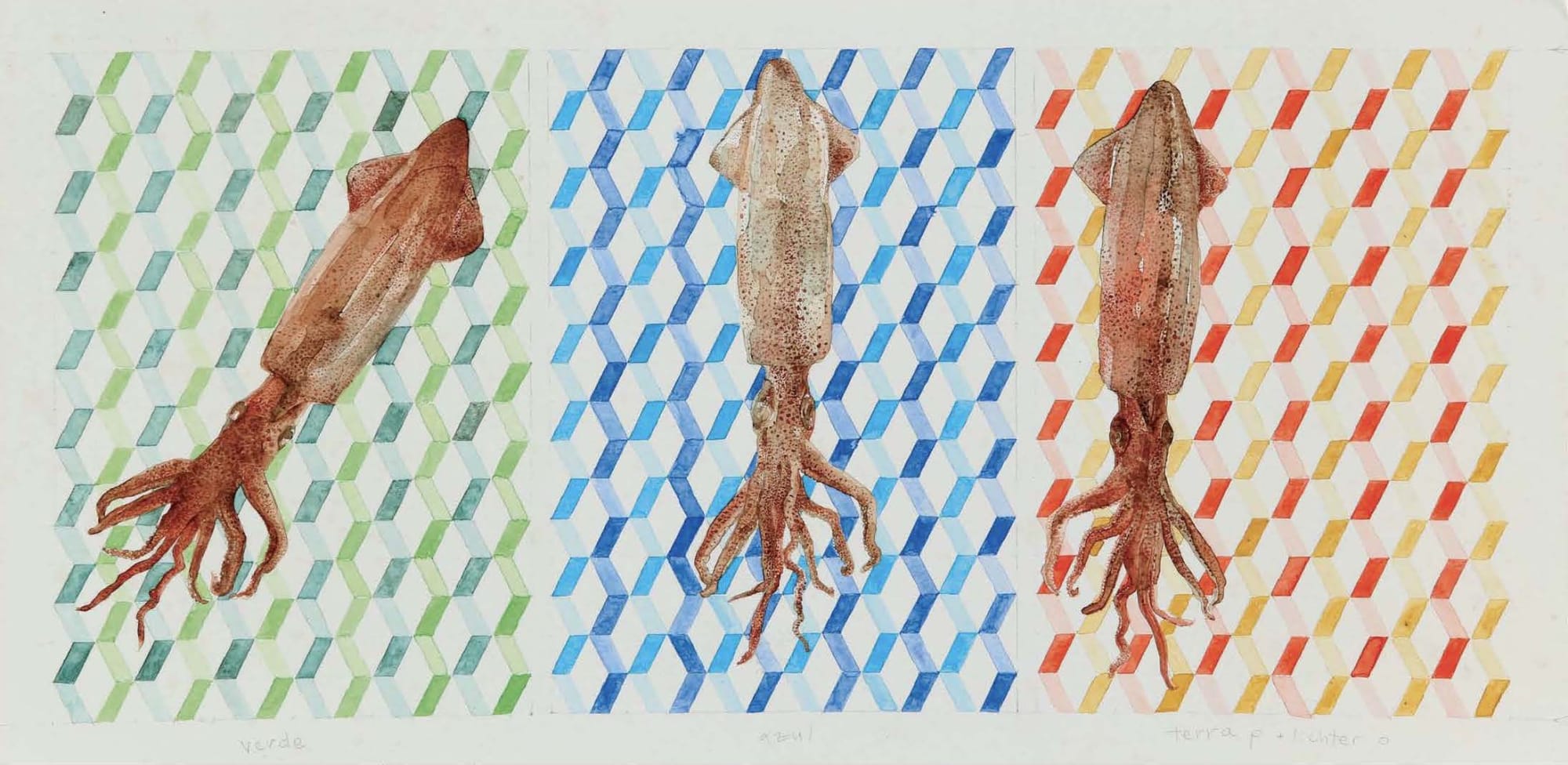 Verde, Azul, Terra P+ Lichter, 2016