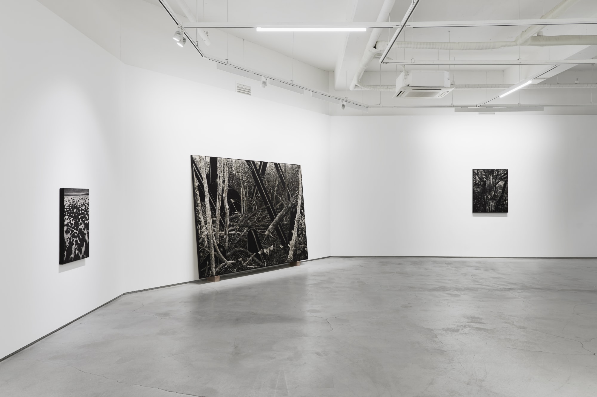 Image Courtesy of G Gallery.