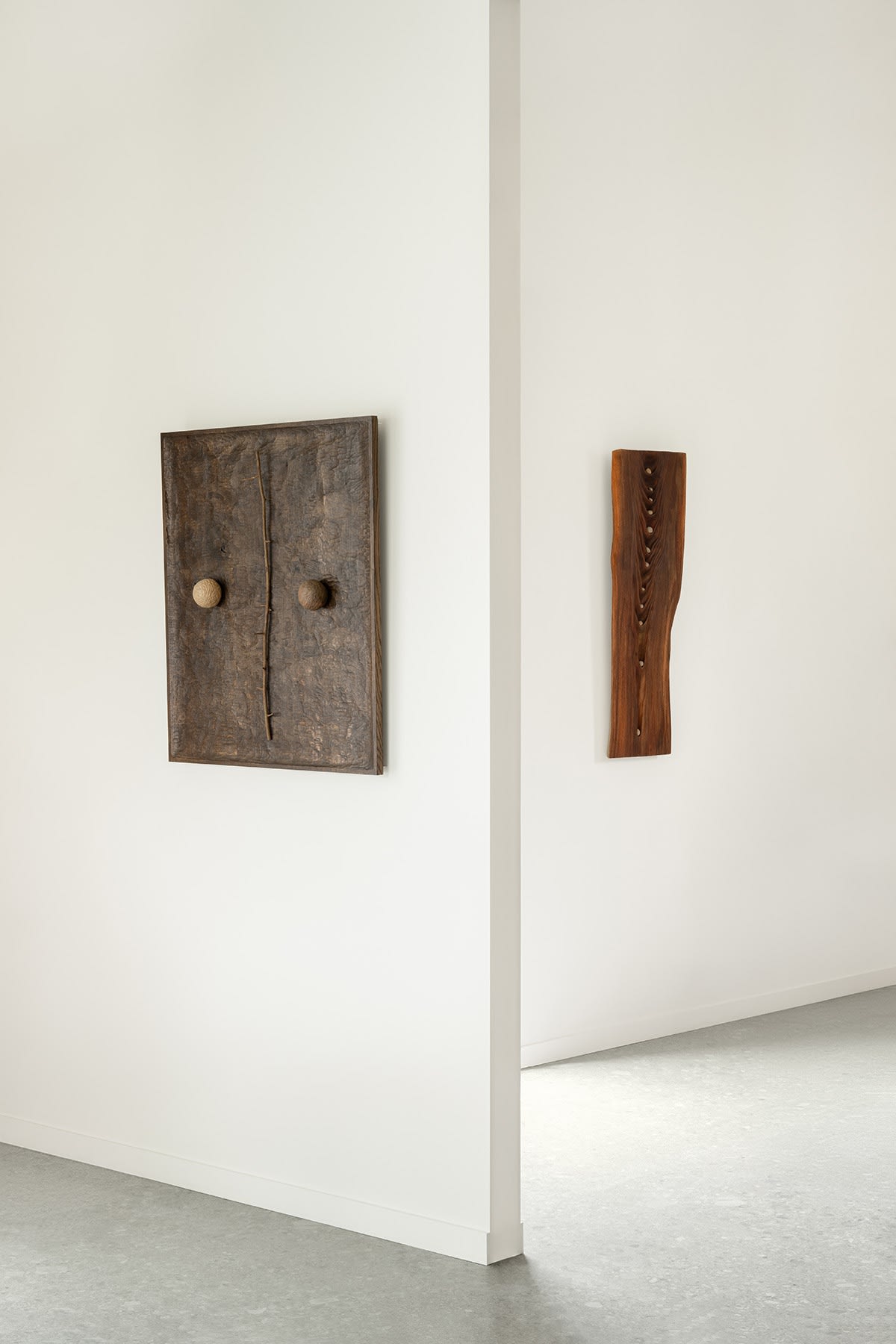 Echoes of the Unseen