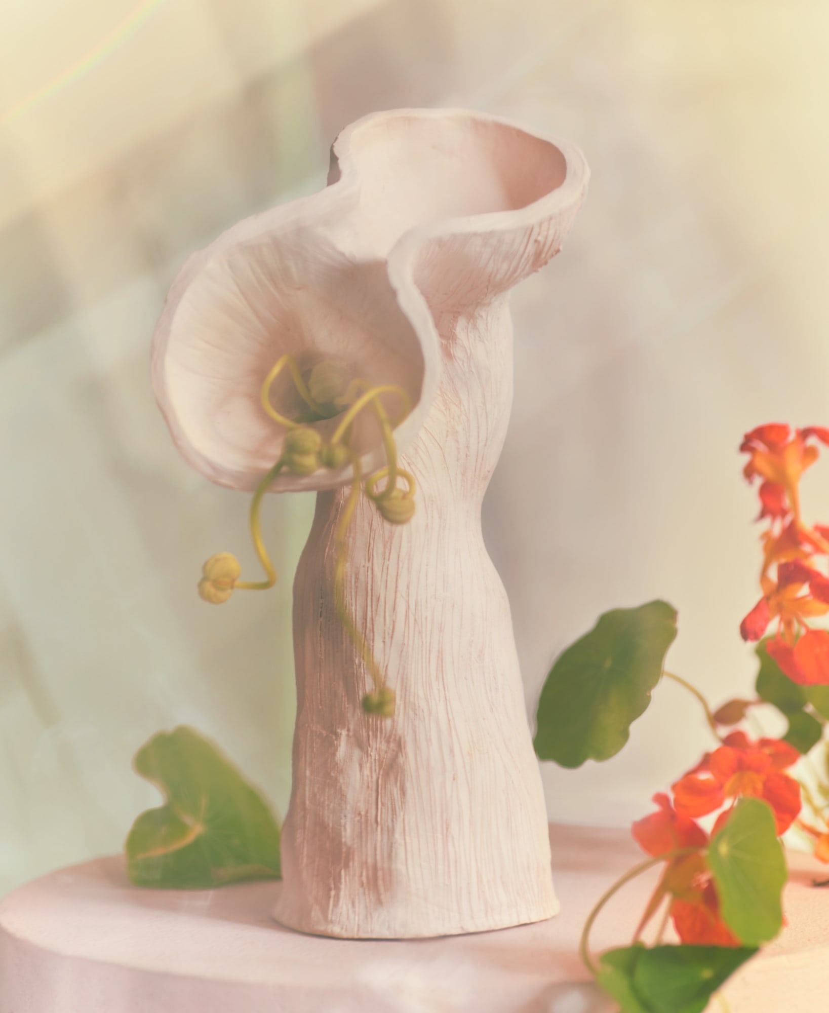 Jan Ernst, Florescentia, 2021. Intallation view