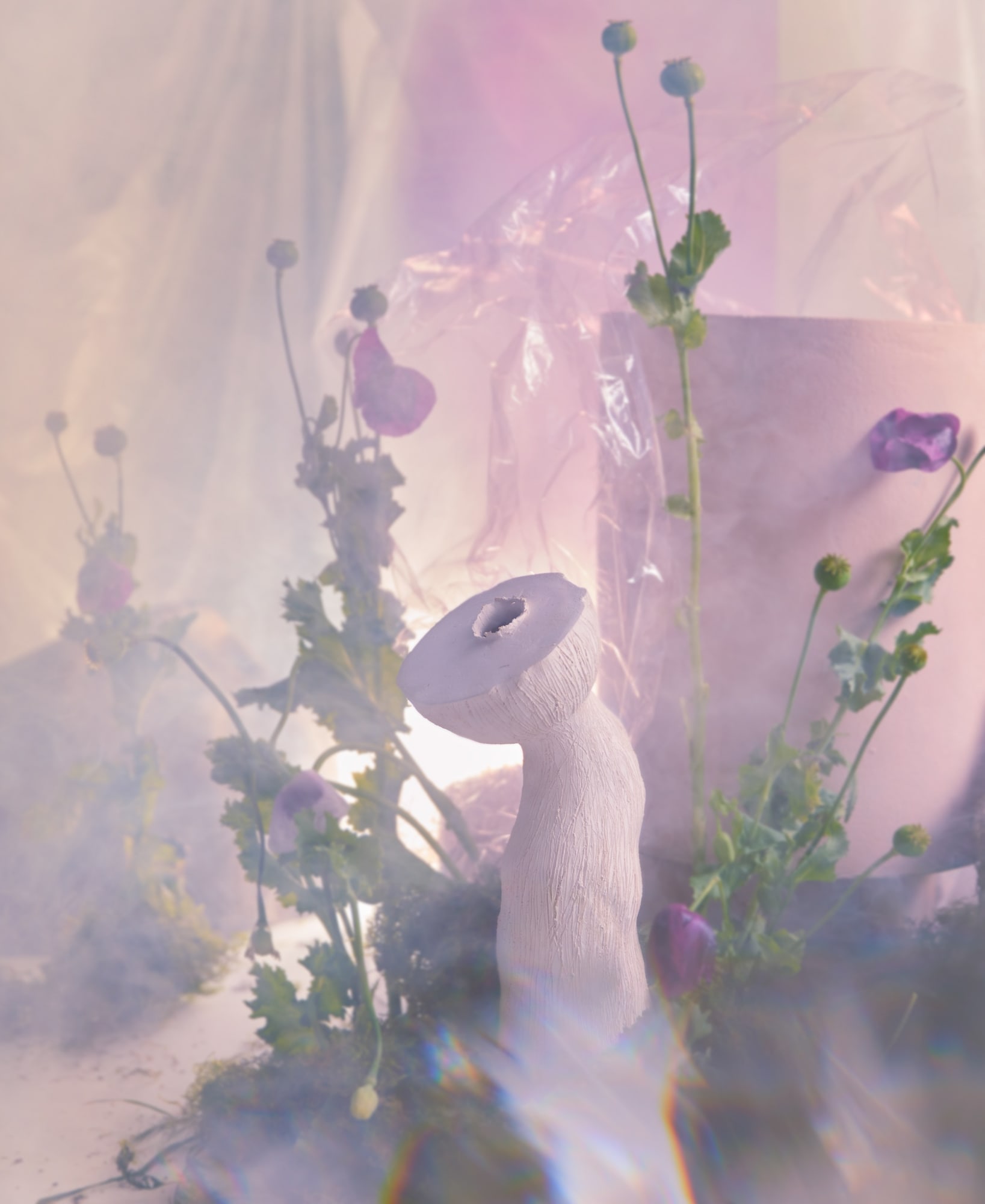 Jan Ernst, Florescentia, 2021. Intallation view