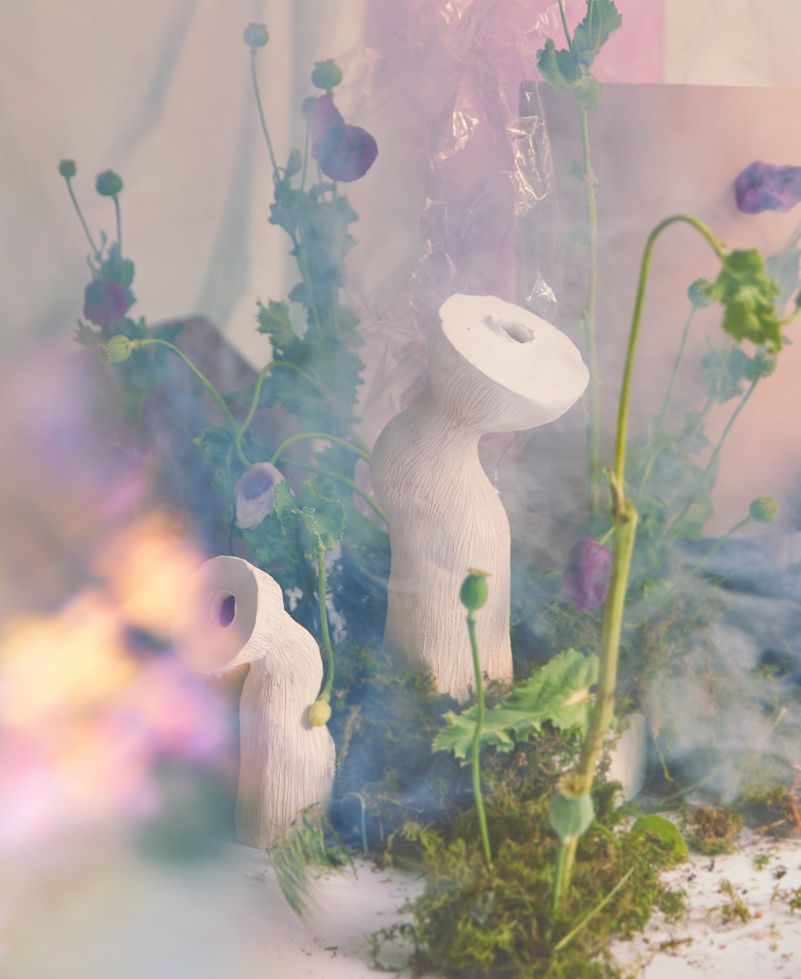 Jan Ernst, Florescentia, 2021. Intallation view