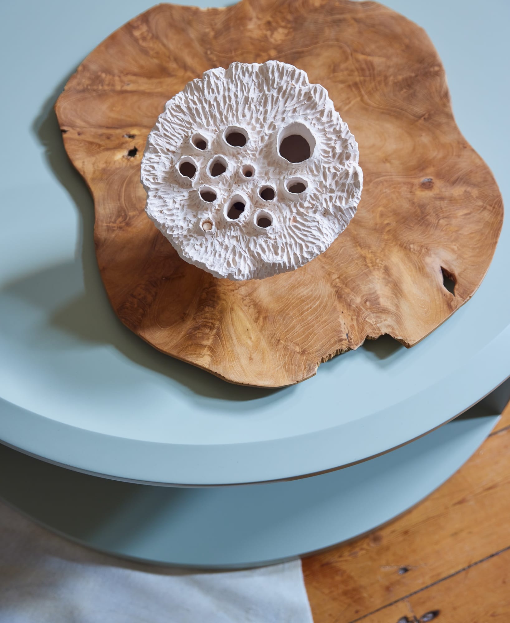 Jan Ernst, Florescentia, 2021. Intallation view