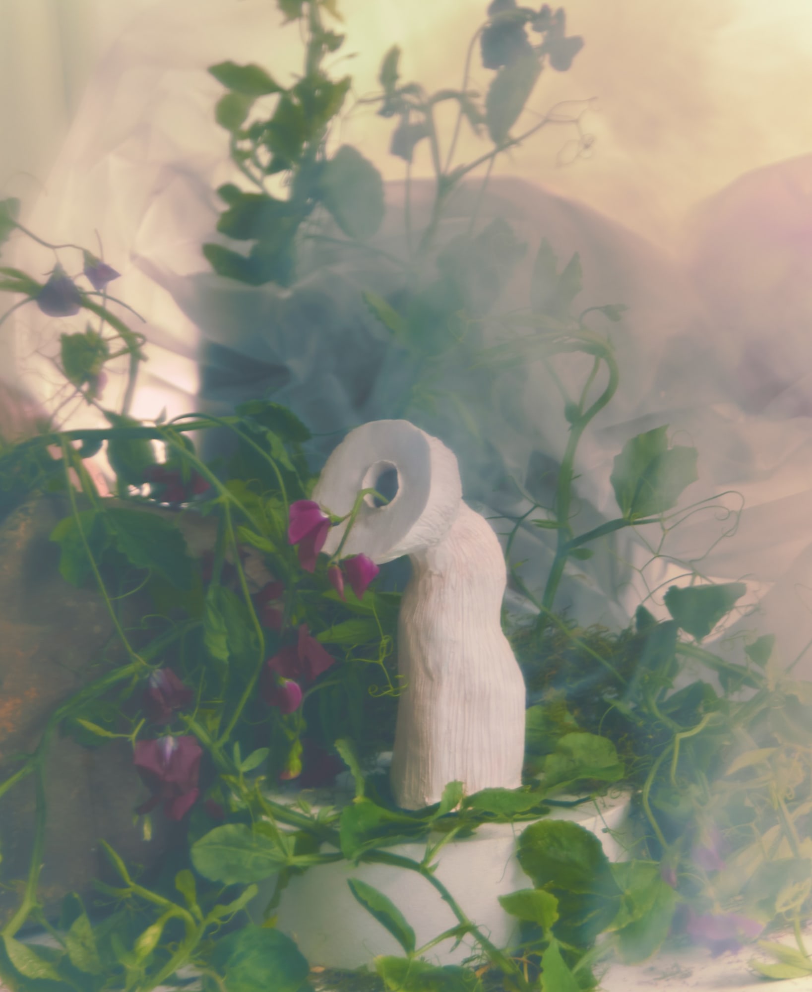 Jan Ernst, Florescentia, 2021. Intallation view