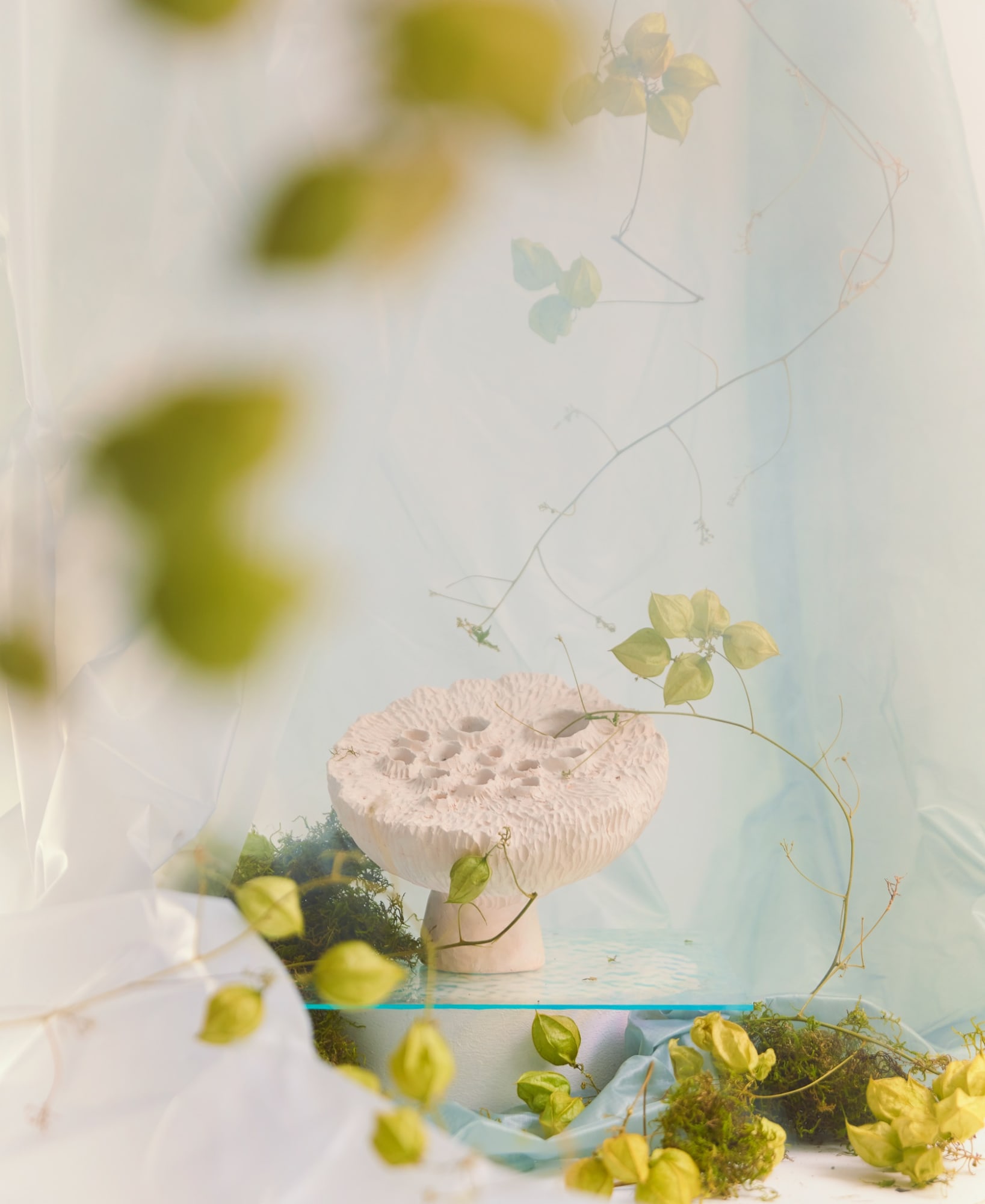 Jan Ernst, Florescentia, 2021. Intallation view