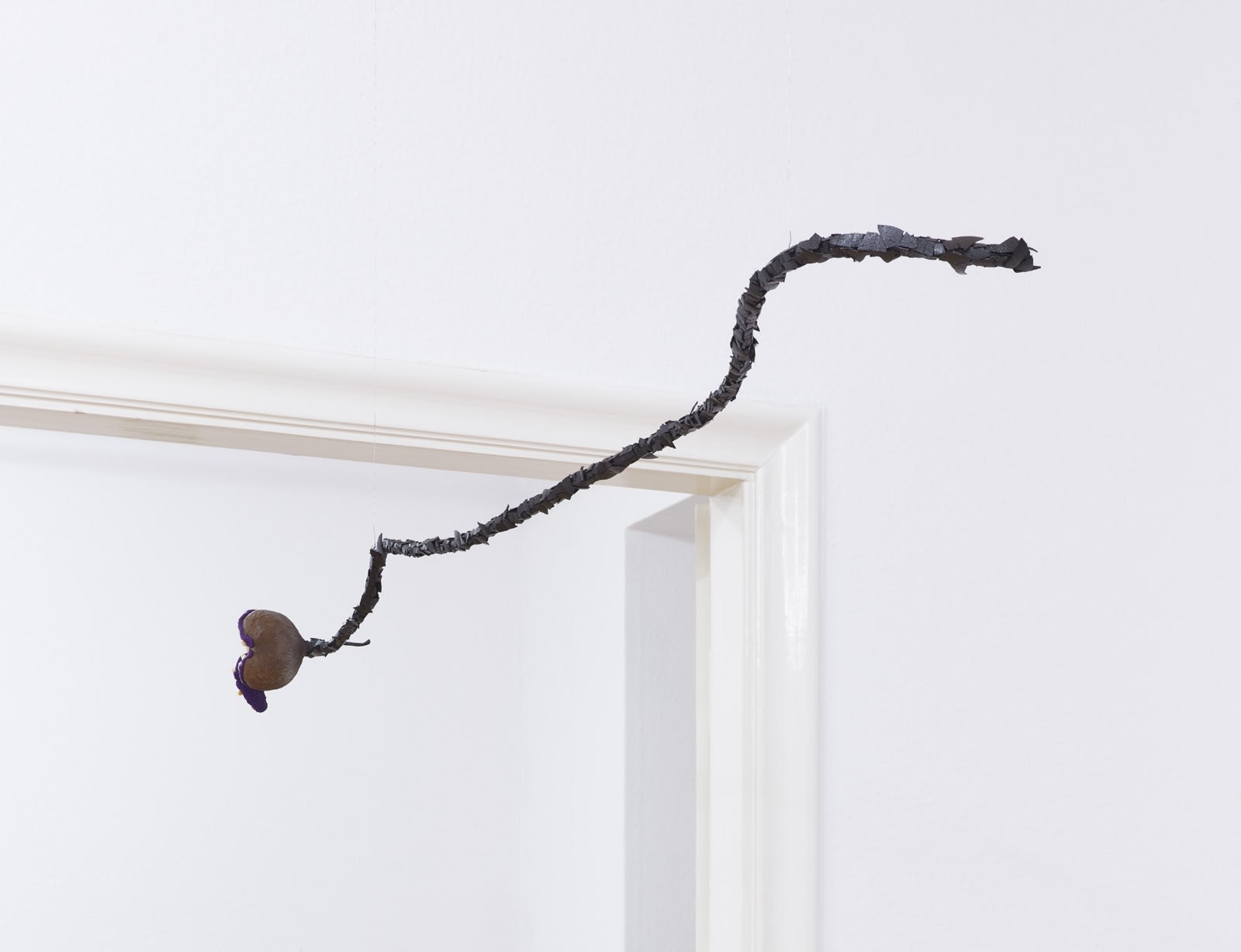 → Ludzie, Zęby | People, Teeth by PRZEMEK BRANAS Installation view from Ludzie, Zęby | People, Teeth