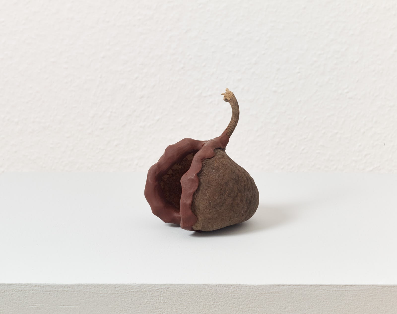 PRZEMEK BRANAS Plotka 12 [Rumour 12], 2020-2021 Sterculia Foetida tree nutshells, acrylic, modelling clay 14 x 10 x 12 cm | 5 1/2 x 4 x 4 3/4 in