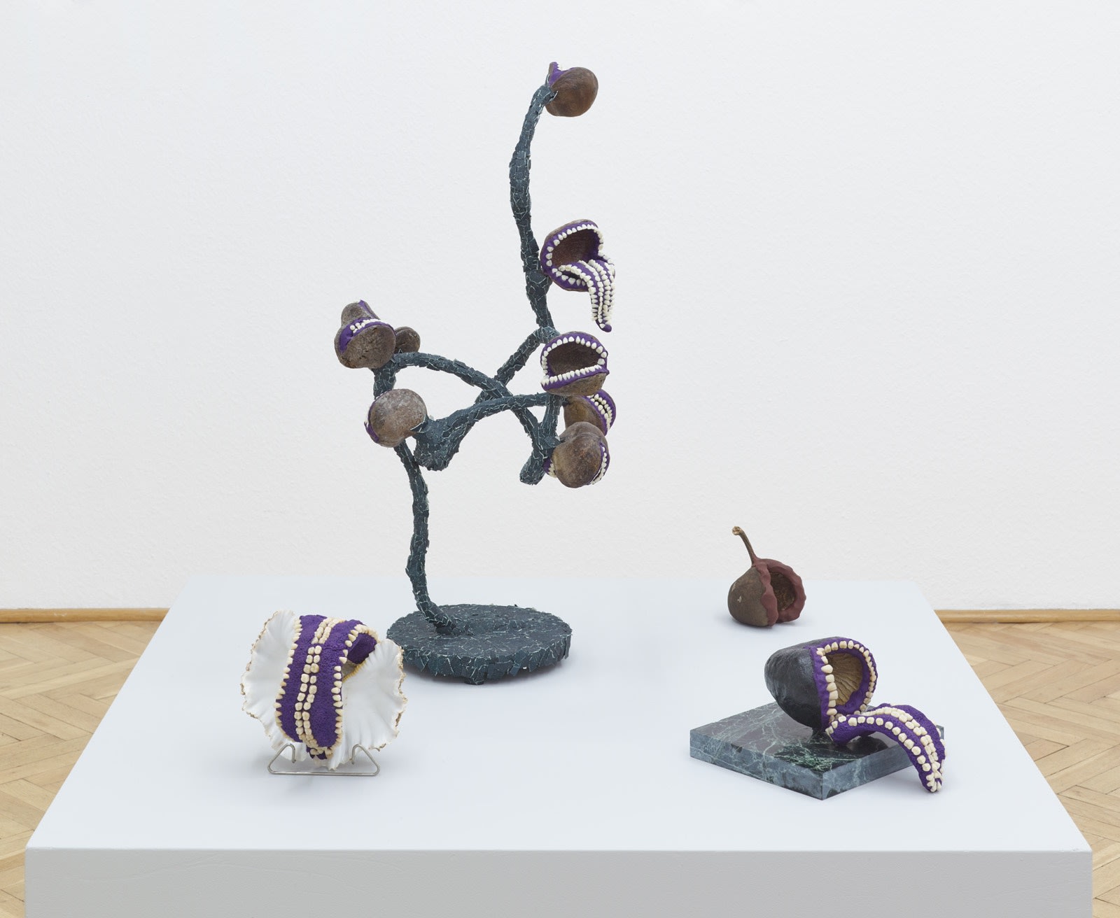 → Ludzie, Zęby | People, Teeth by PRZEMEK BRANAS Installation view from Ludzie, Zęby | People, Teeth