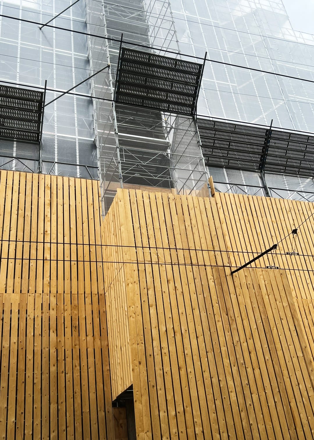 Bone, Flesh & Skin VIII, 2022