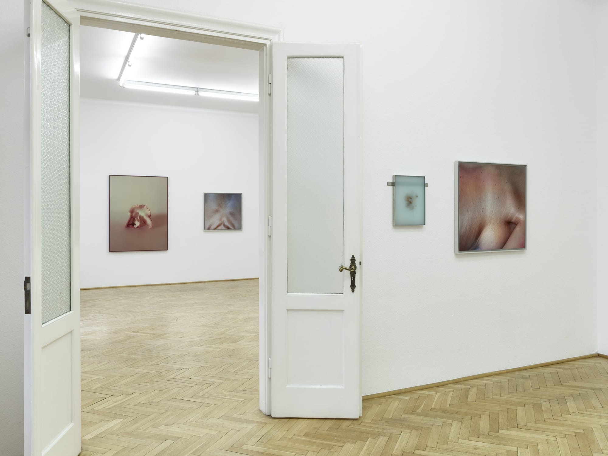 What grows by Mia Dudek