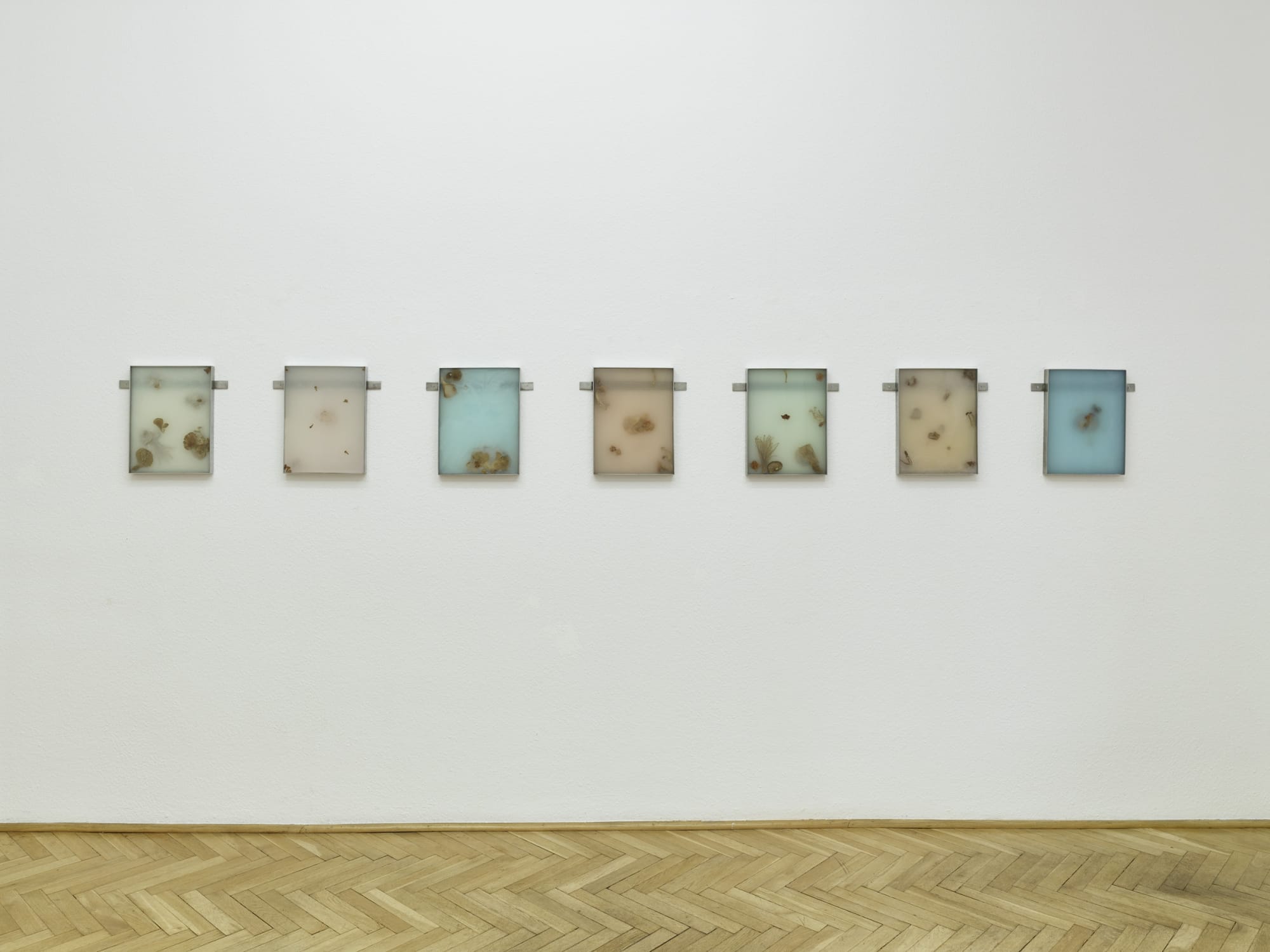 What grows by Mia Dudek