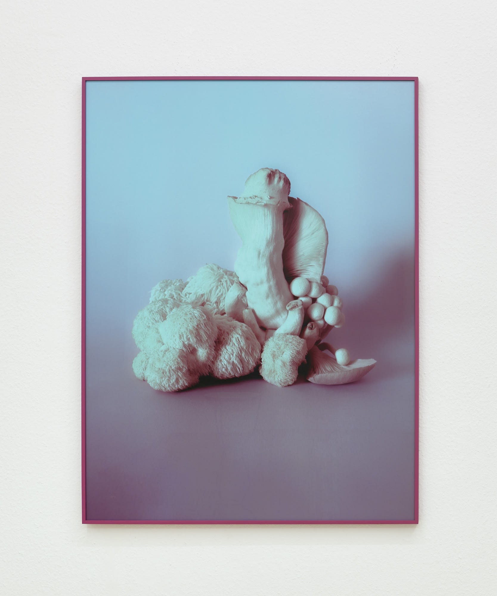 What grows by Mia Dudek