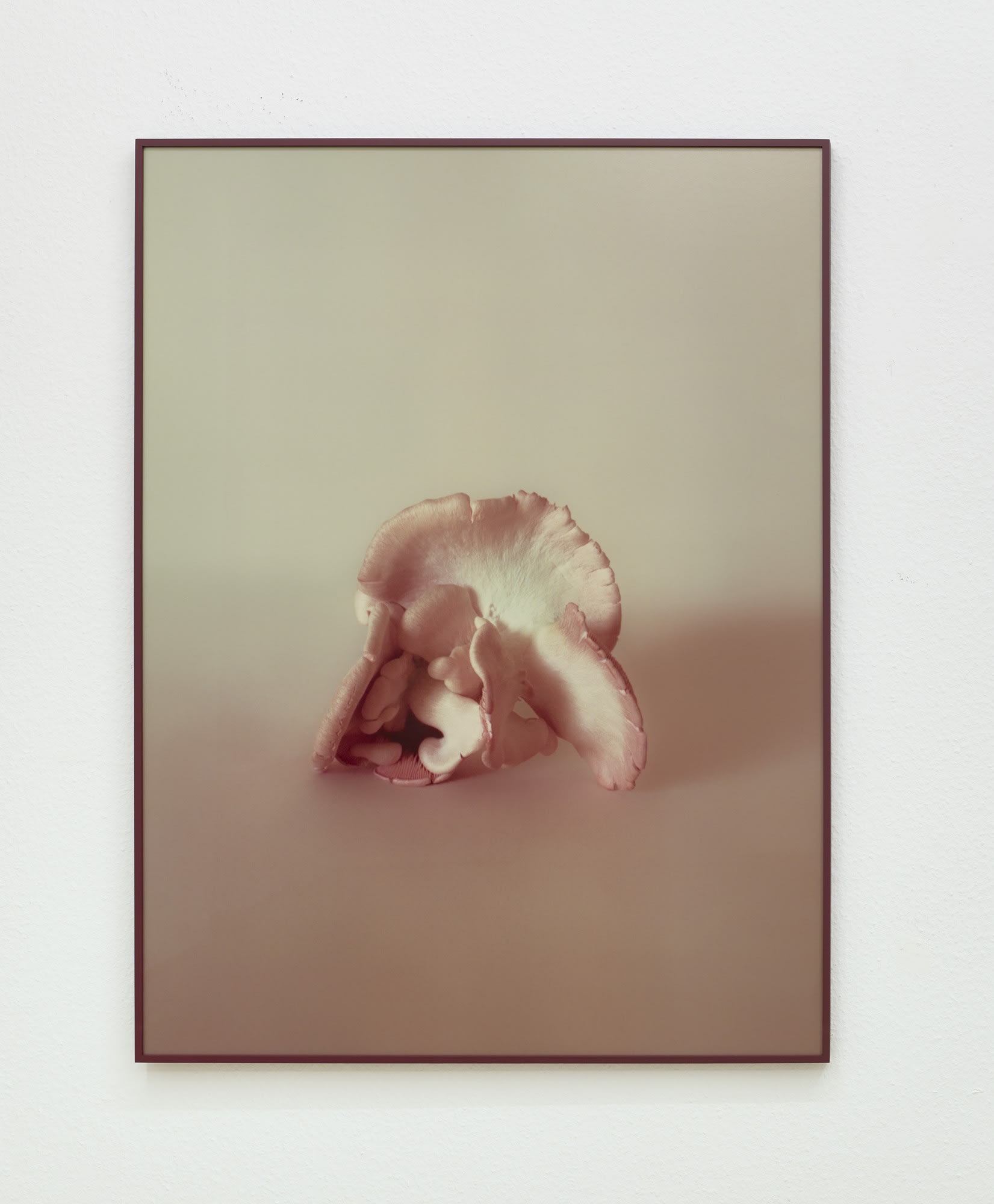 What grows by Mia Dudek