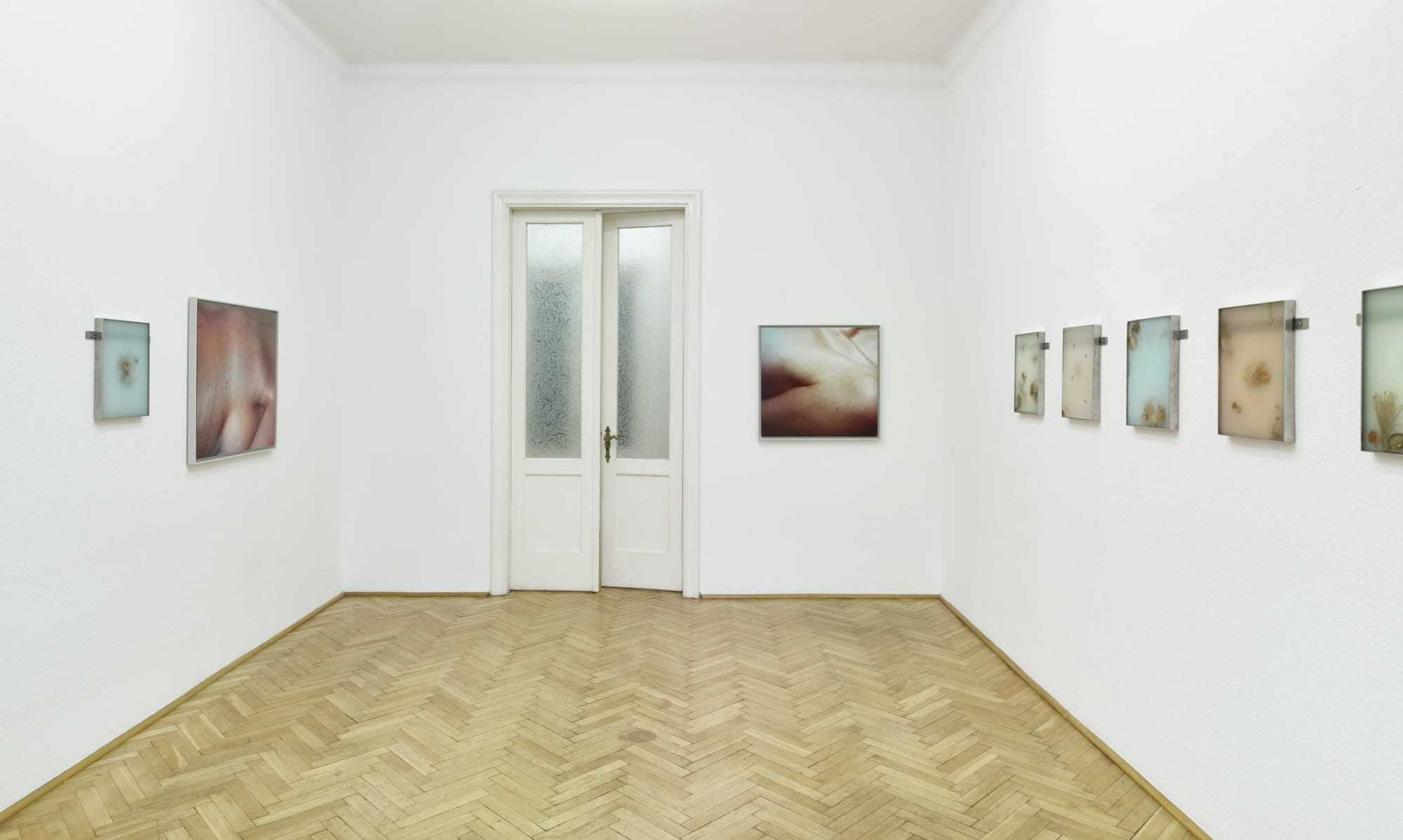 What grows by Mia Dudek