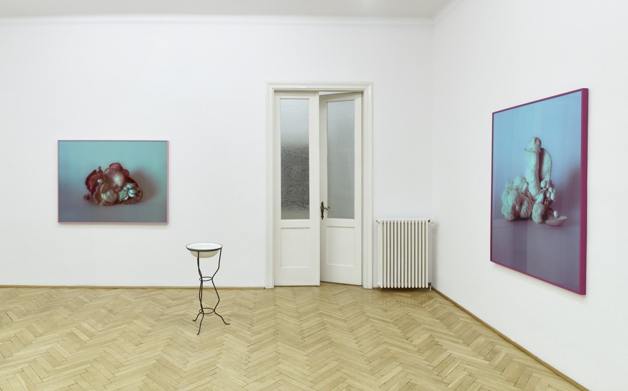 What grows by Mia Dudek