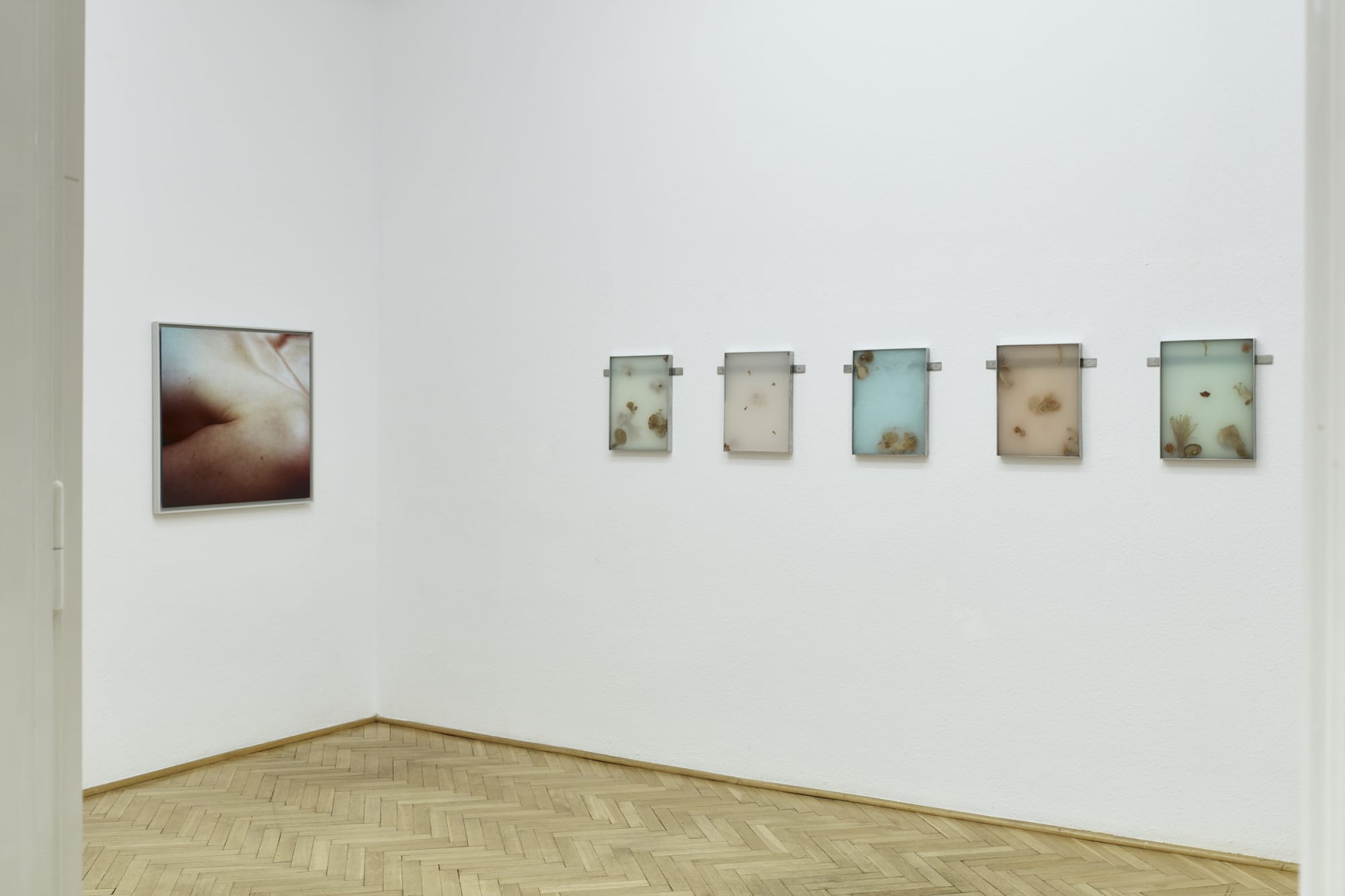 What grows by Mia Dudek