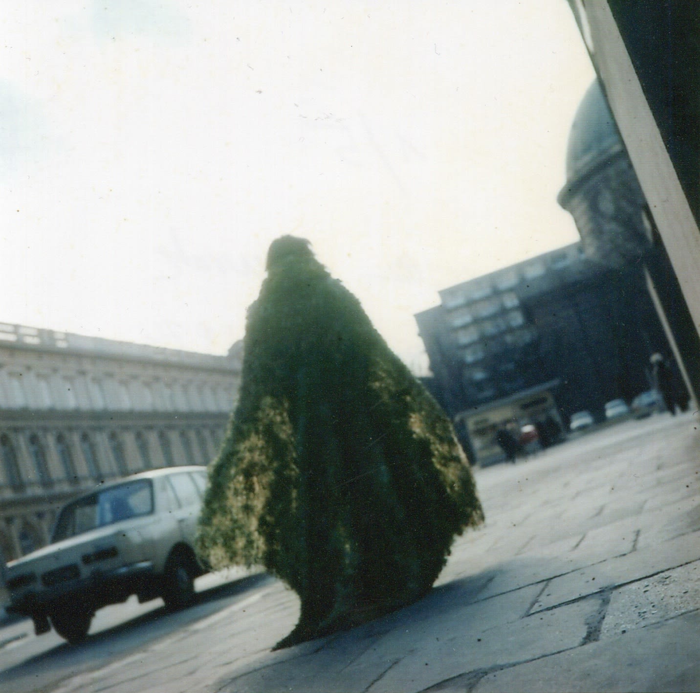 Teresa Murak: solo exhibition