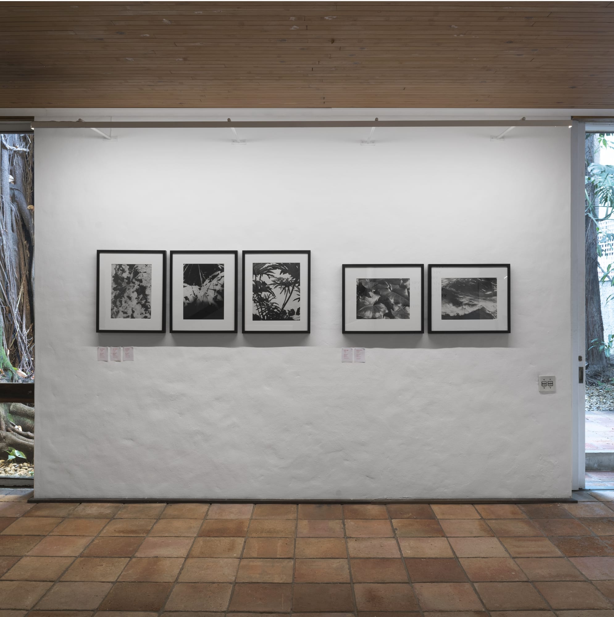 Foto: Sergio Guerini