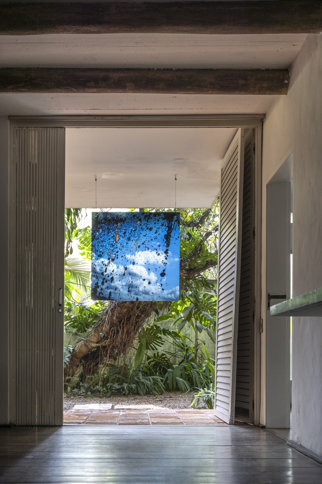 photo: Ruy Teixeira, 2025.