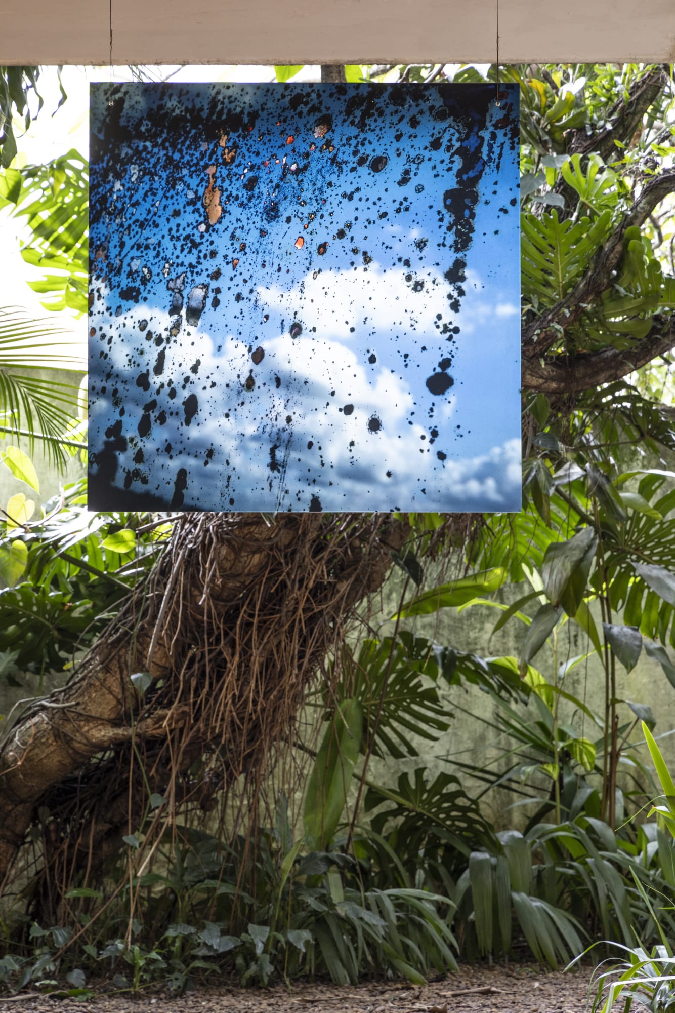 photo: Ruy Teixeira, 2025.