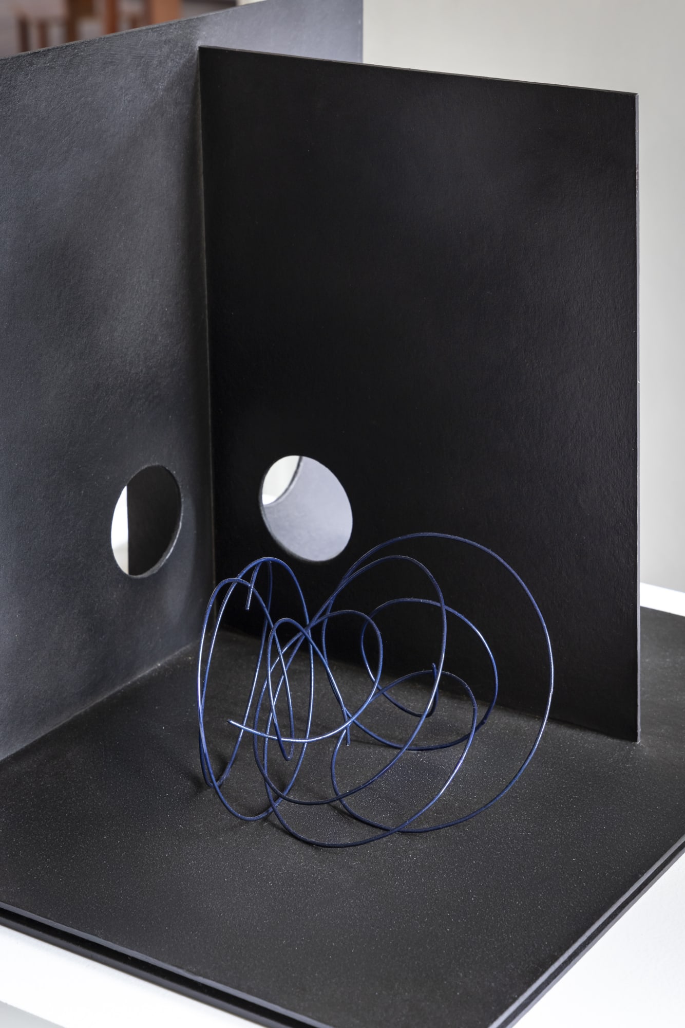 photo: Ruy Teixeira [2025]