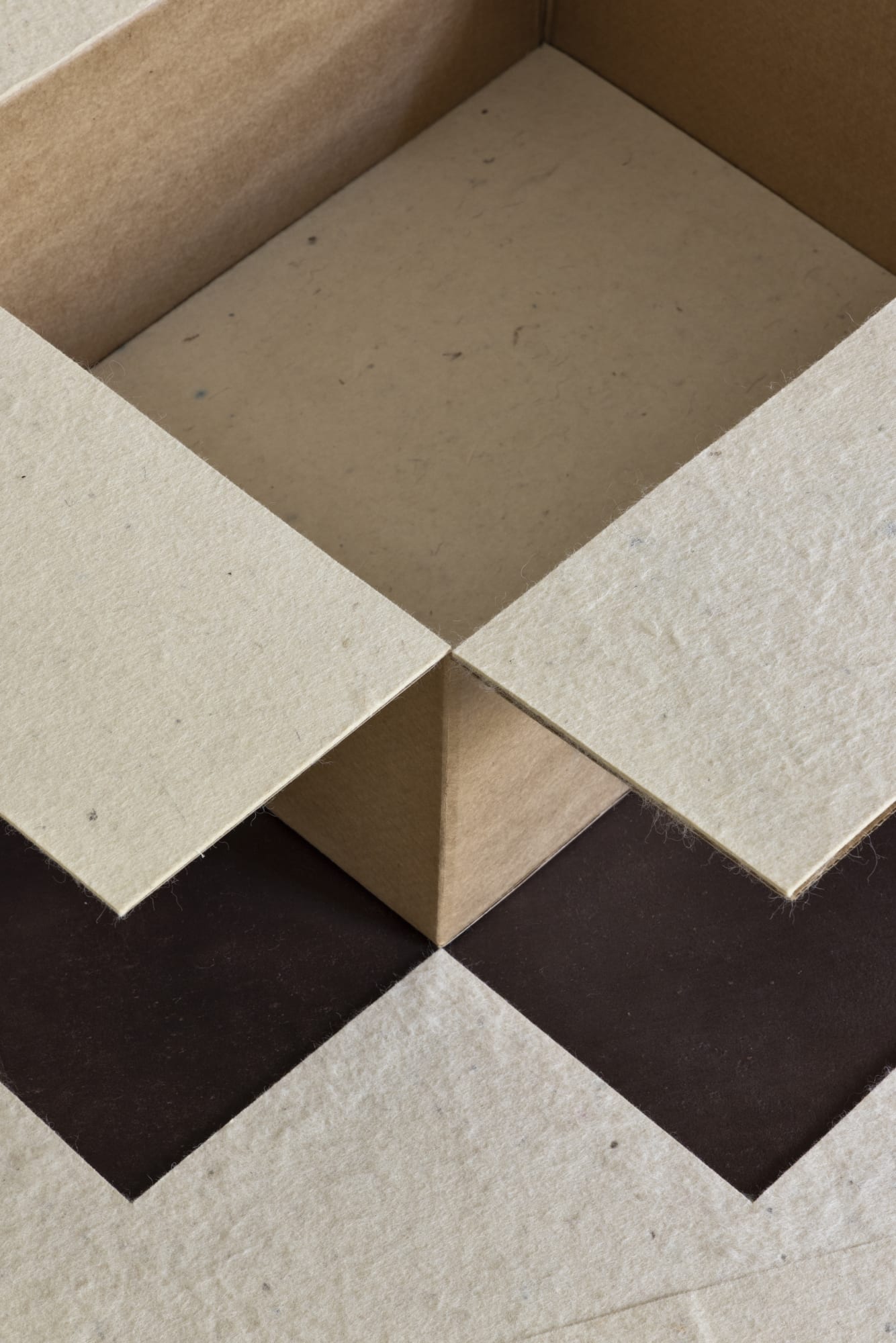 photo: Ruy Teixeira [2025]