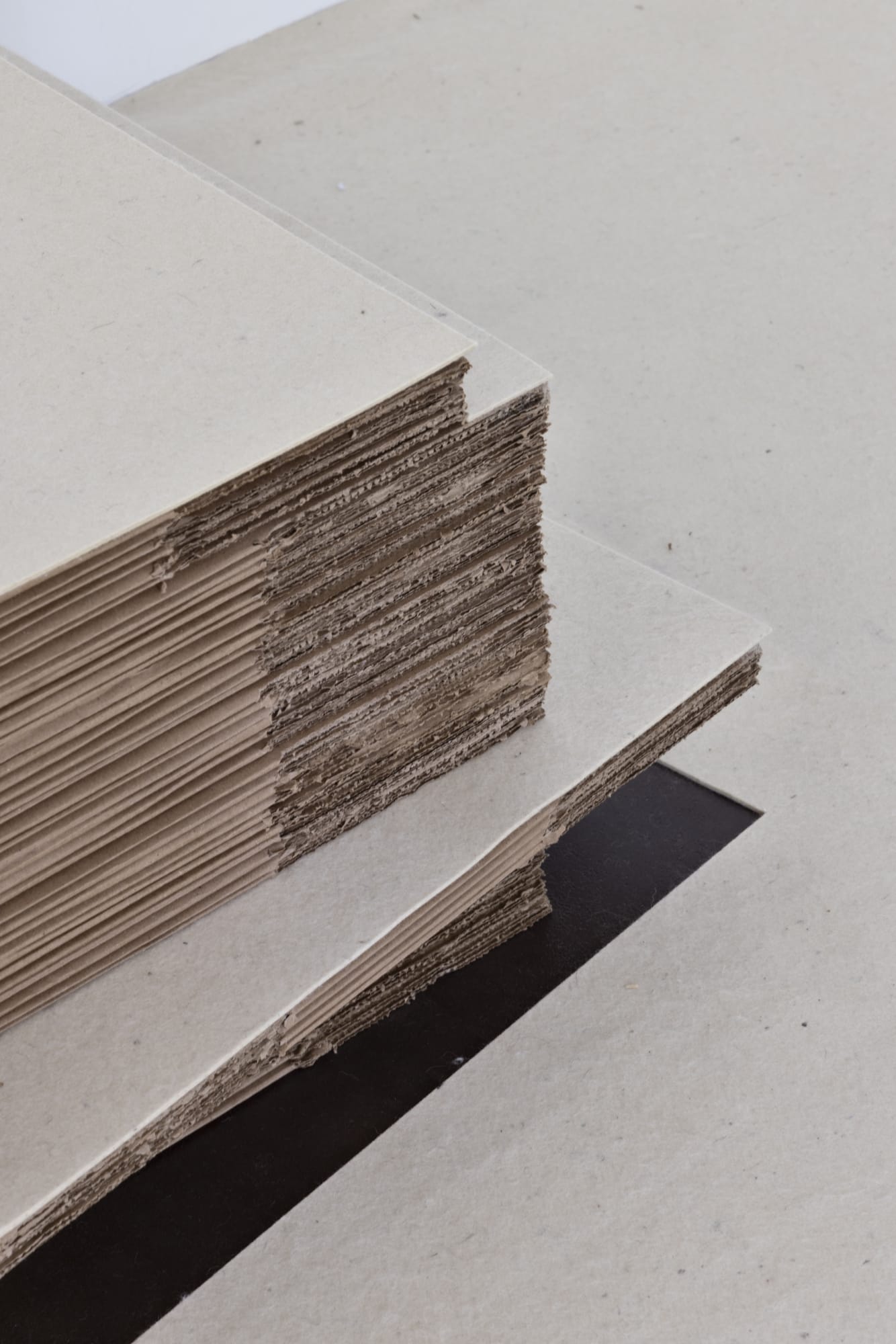 photo: Ruy Teixeira [2025]