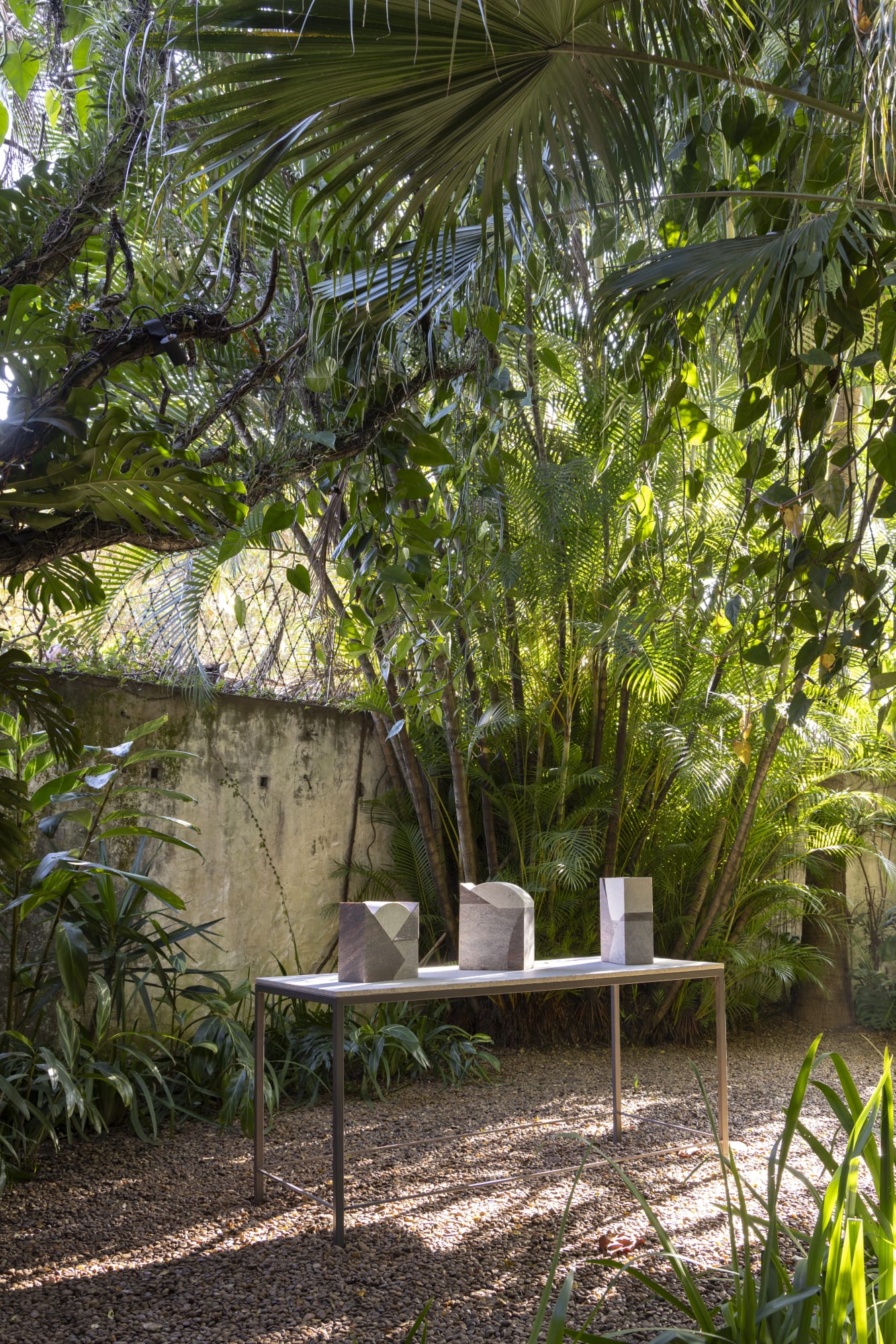 photo: Ruy Teixeira [2025]