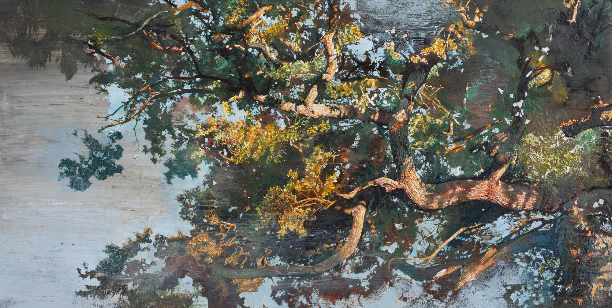 Stuart’s oak, August