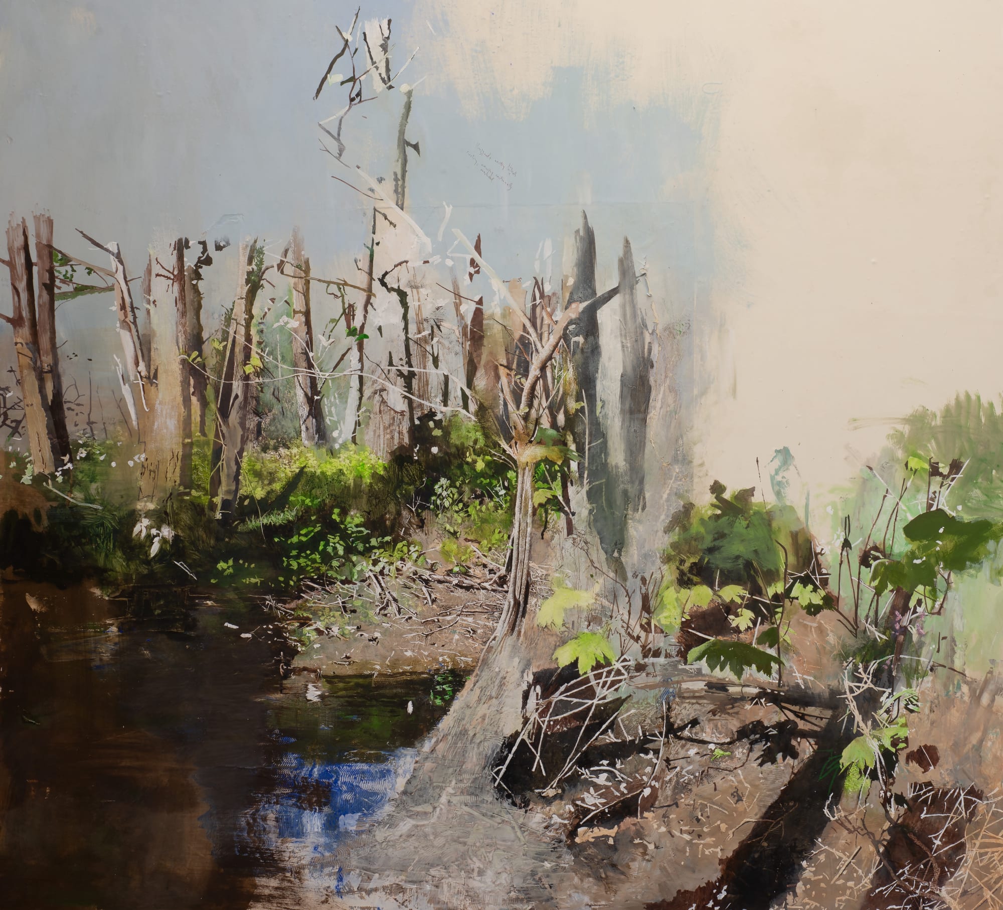 STUMBLE FIELD WOOD, vernal pool