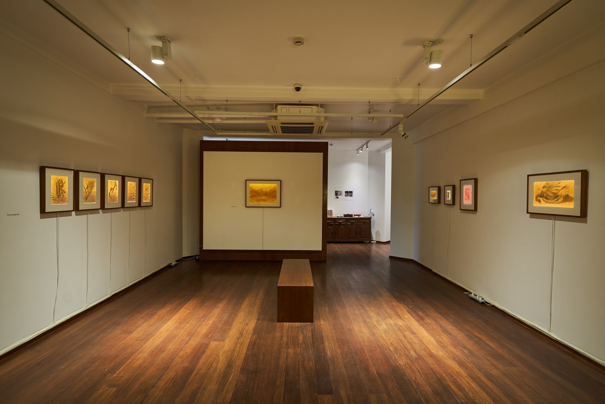 filed under: a/muse/um