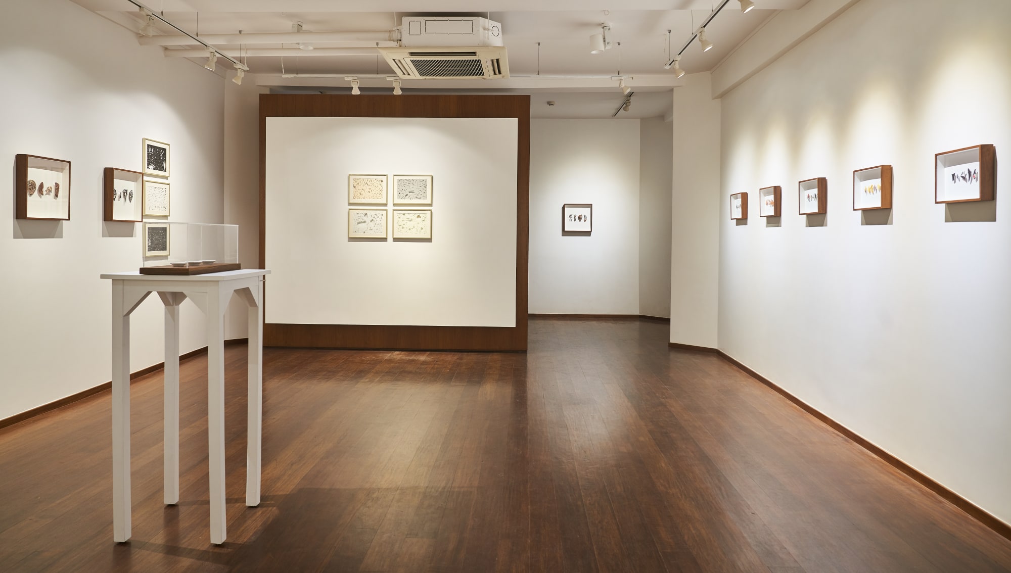 Wandering Violin Mantis