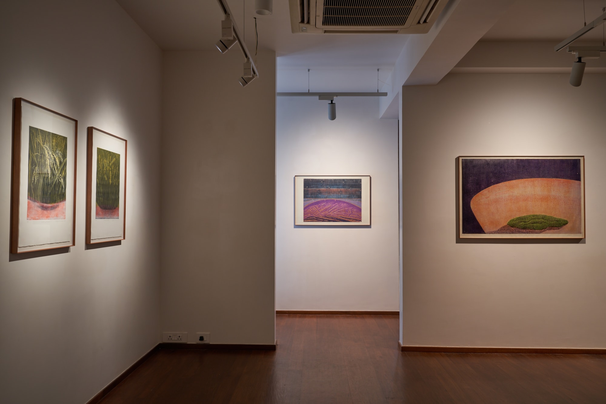 Shadows under my sky