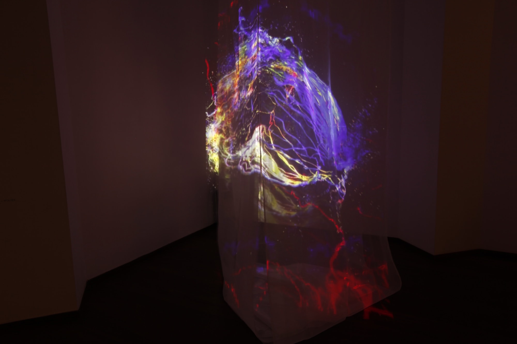 Pocket Maps of the Mind