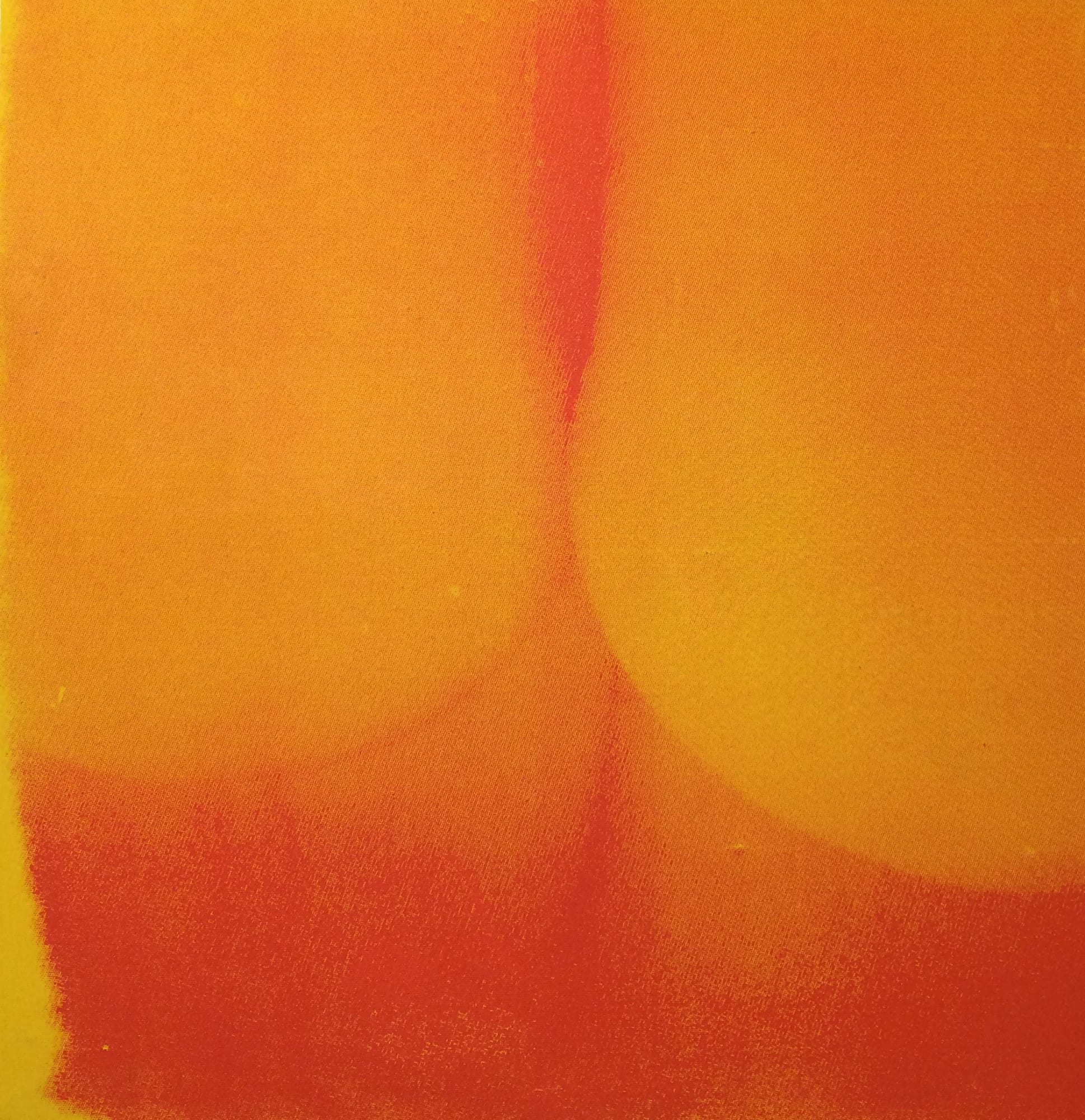 photograph of body parts silkscreened in color