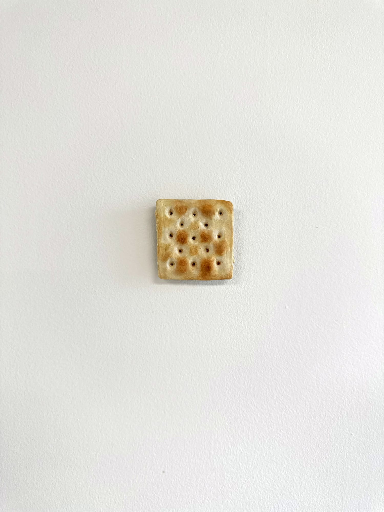 a cracker sculpture on the wall