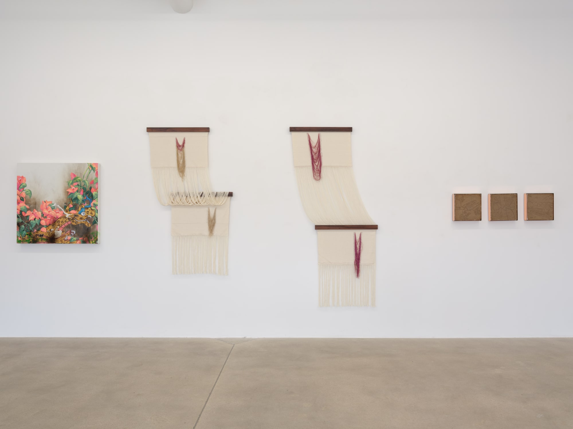 installation view of Terrenos