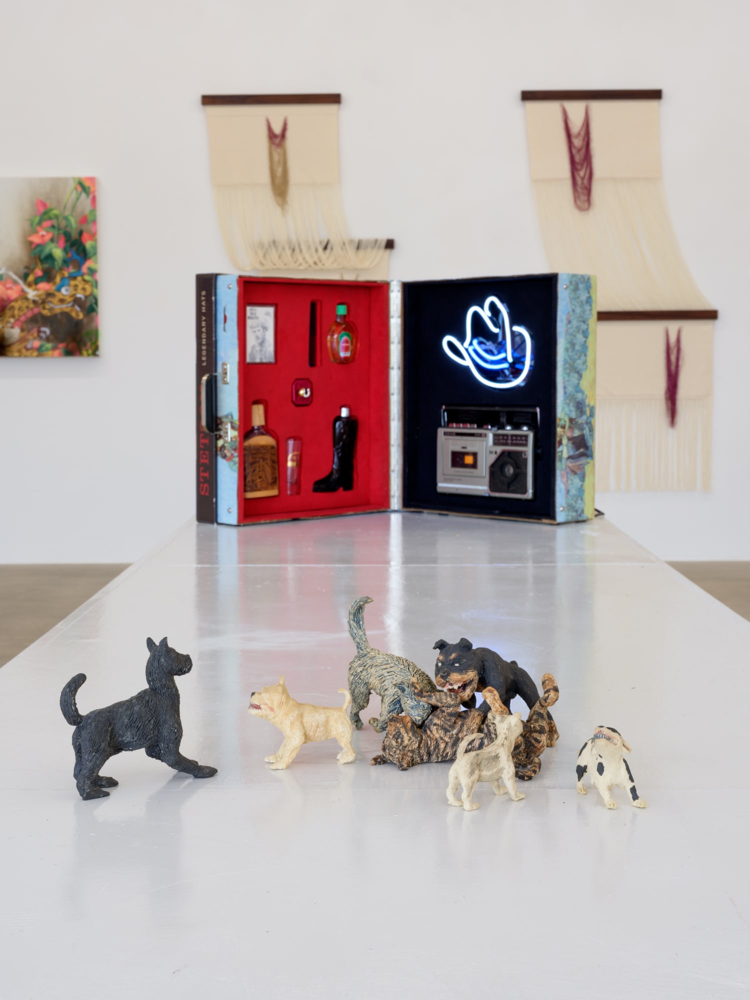 installation view of Terrenos