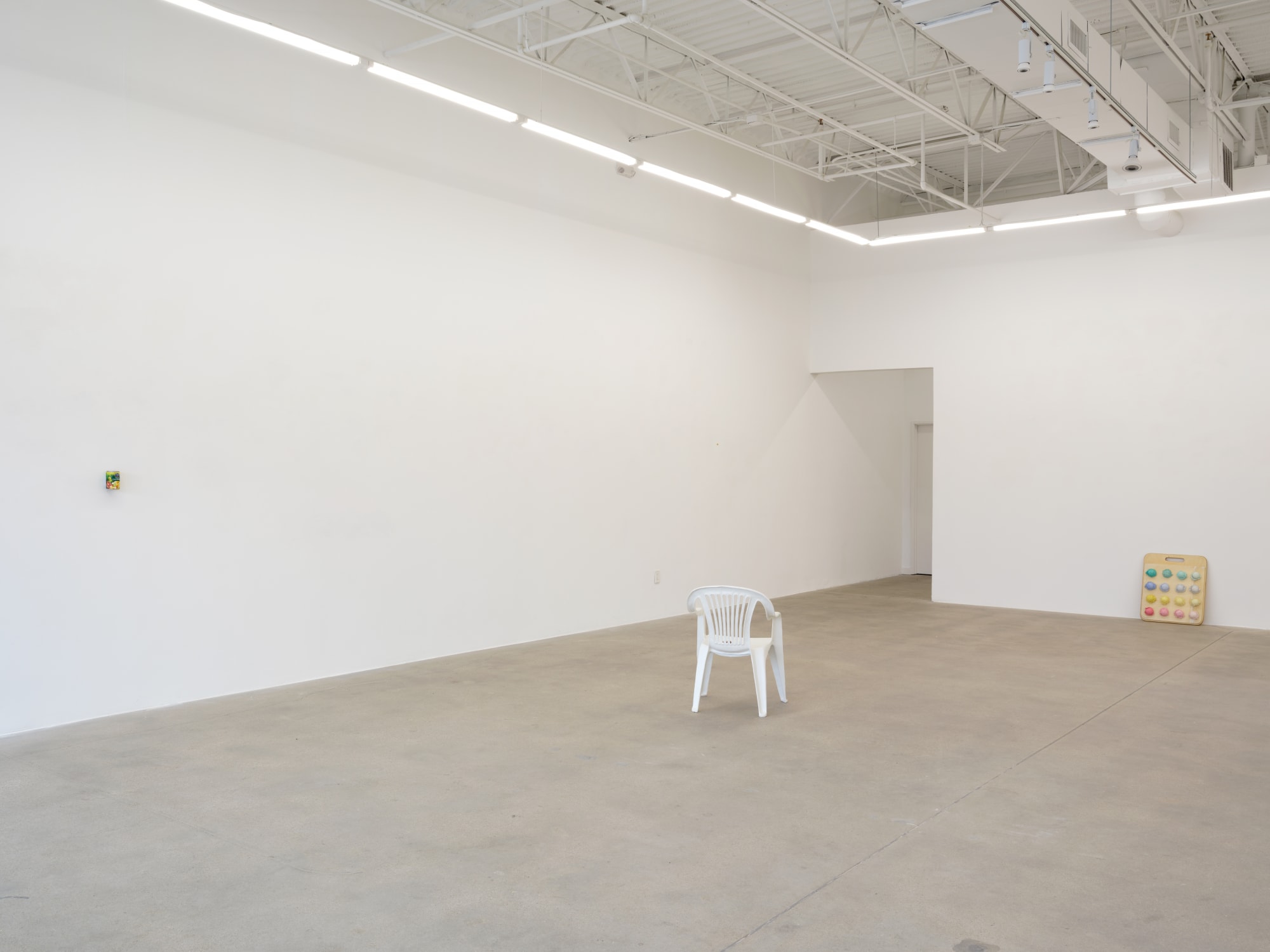 installation view of Tamara Johnson