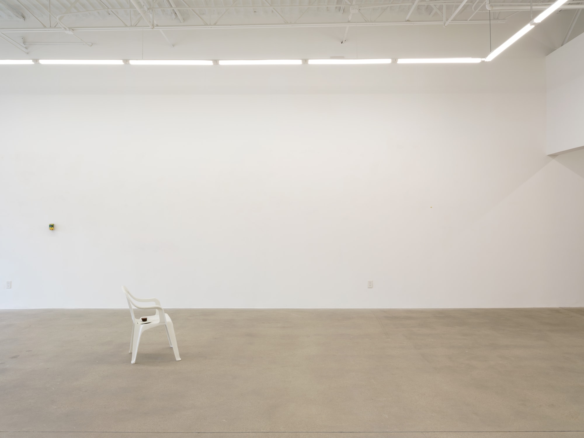 installation view of Tamara Johnson