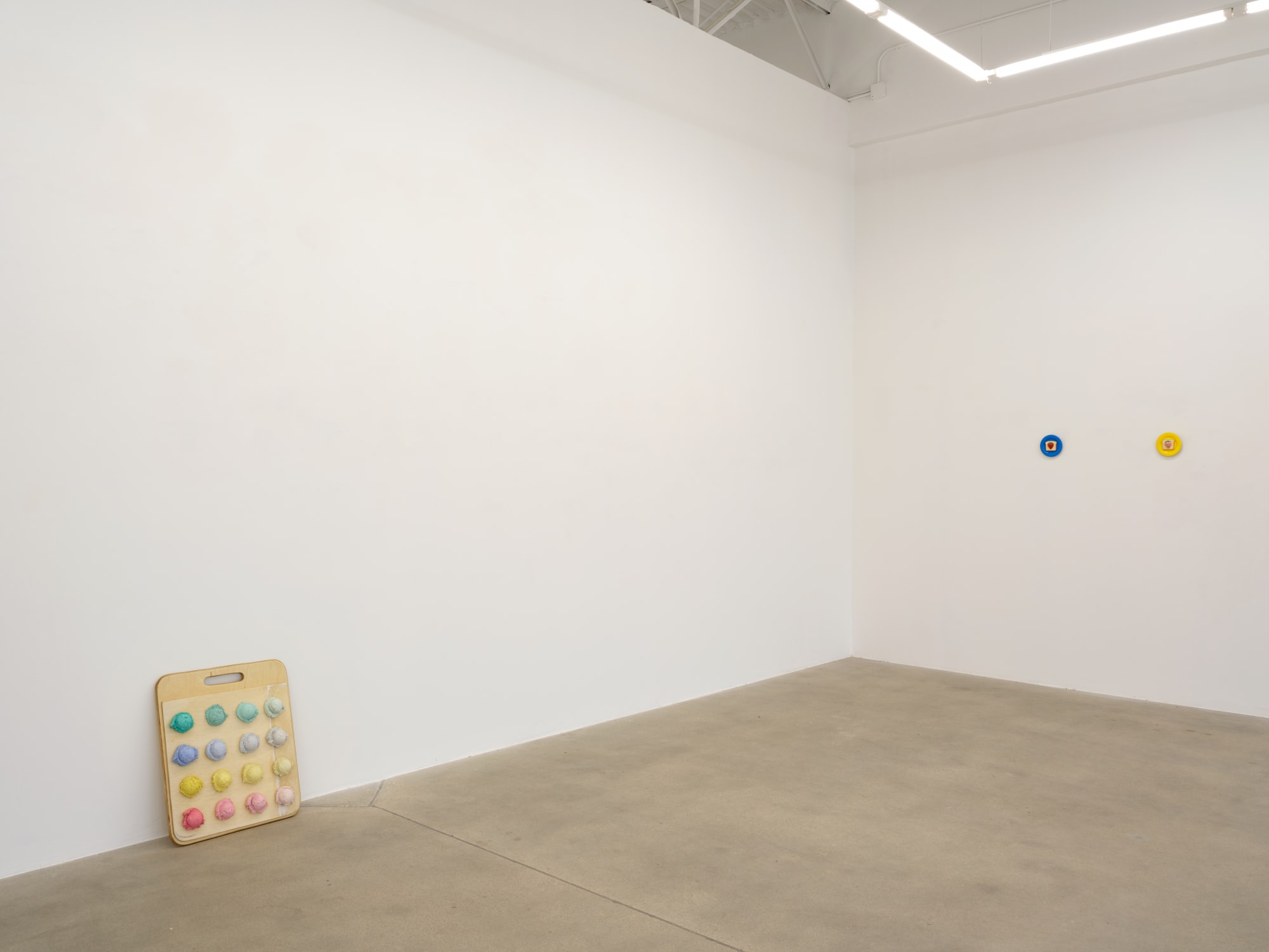 installation view of Tamara Johnson