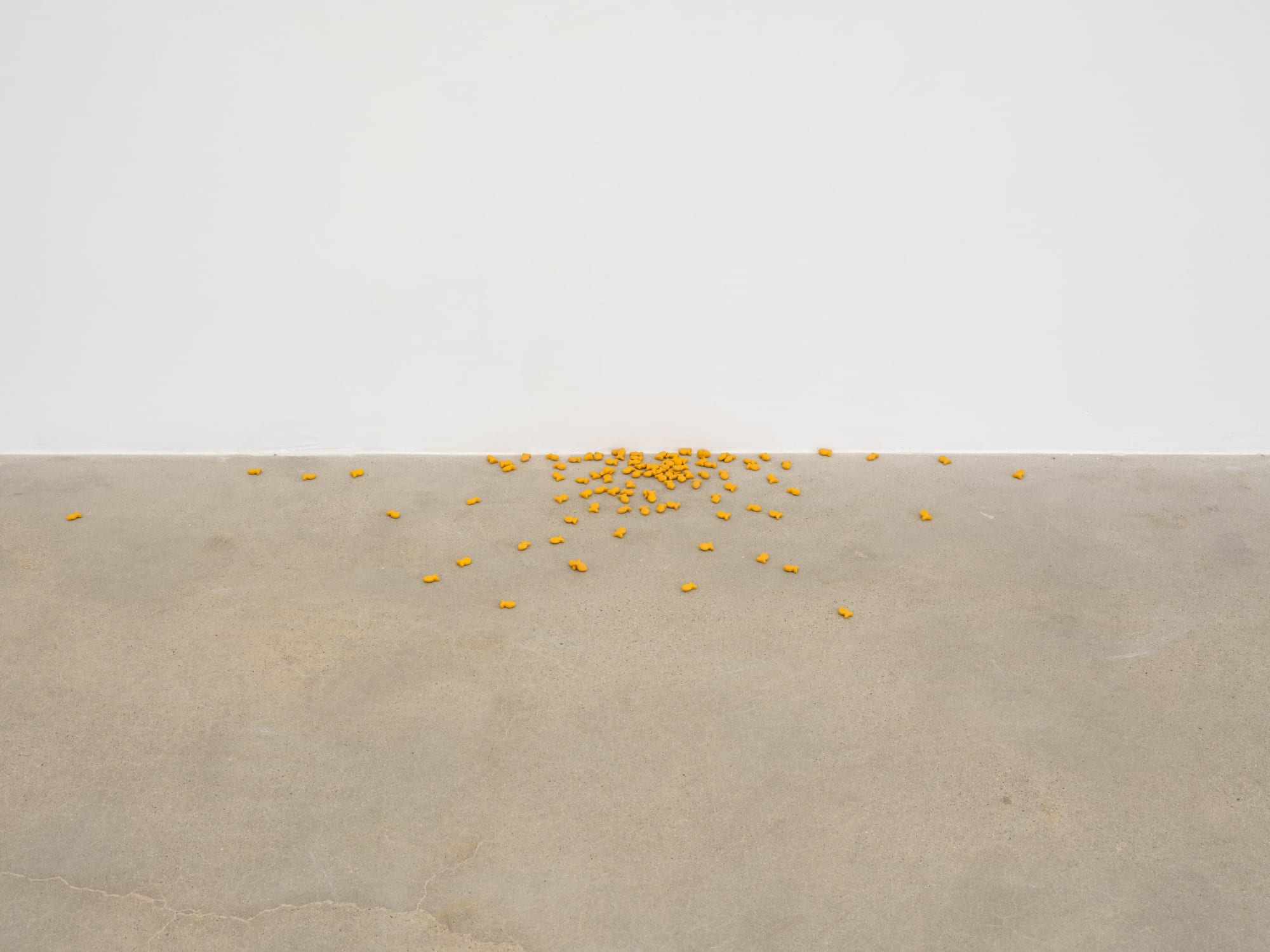 installation view of Tamara Johnson