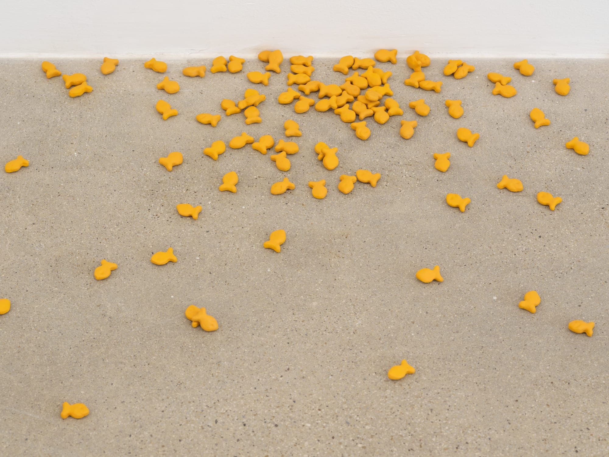 installation view of Tamara Johnson