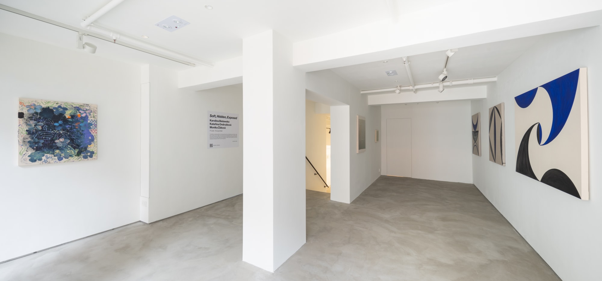 Soft, Hidden, Exposed | Group Show