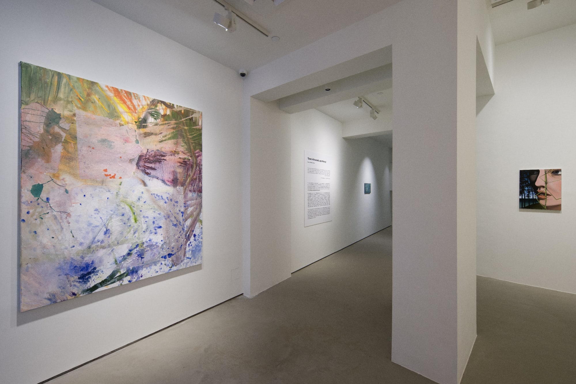 Down in the woods, up to the sky | Group Show