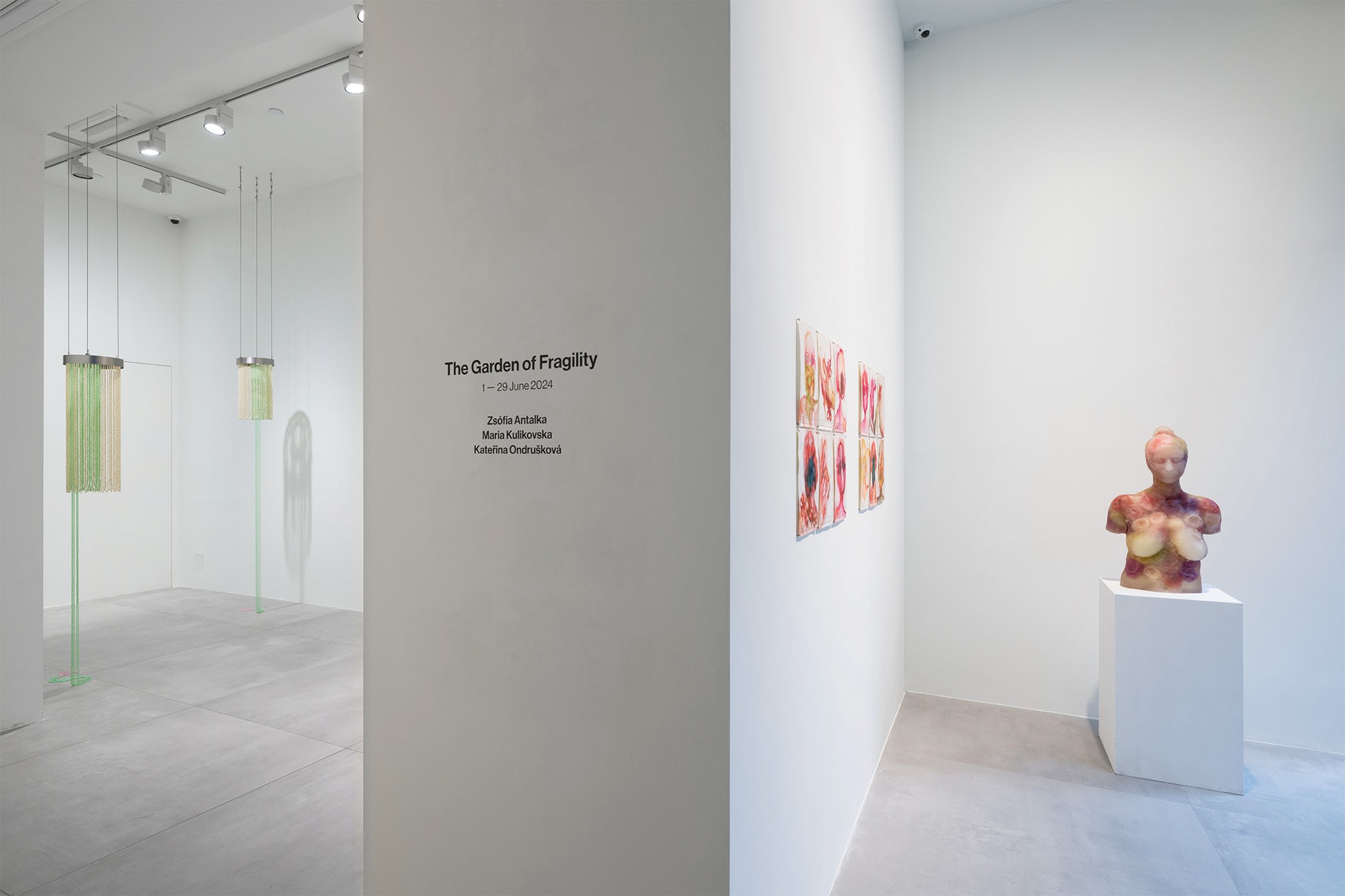 The Garden of Fragility | Group Show